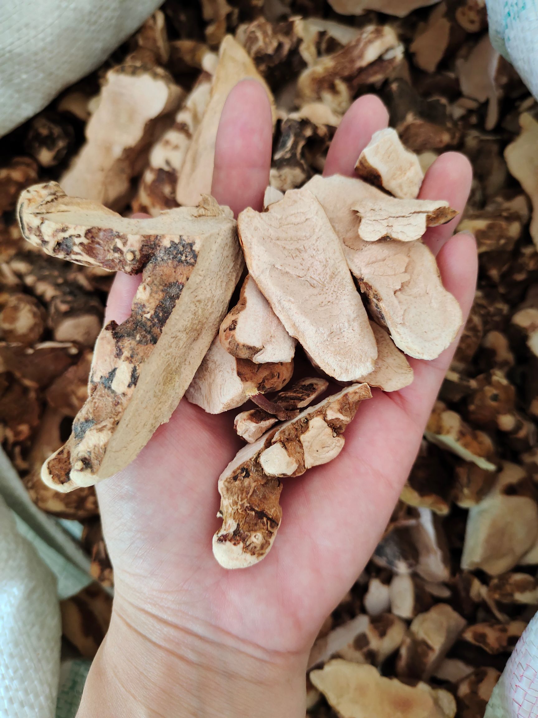紫金县土茯苓  主打品质上的山货，，自收购，加工，销售一体