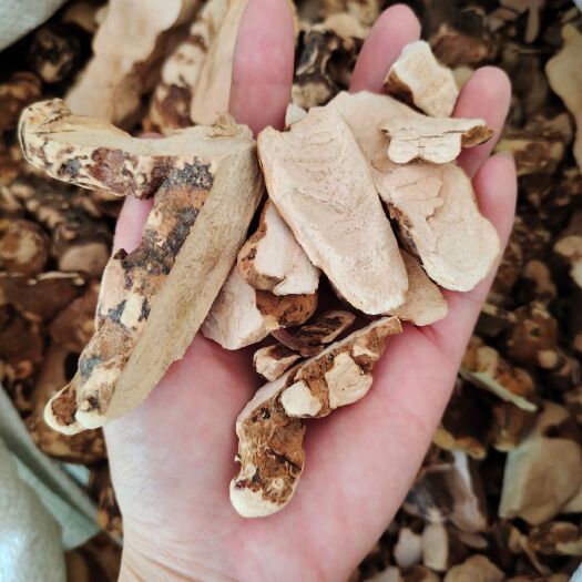 紫金县土茯苓  主打品质上的山货，，自收购，加工，销售一体