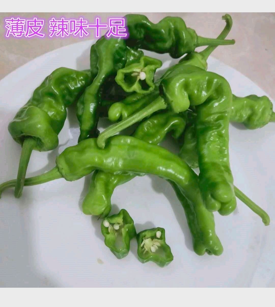 薄皮椒  新鲜薄皮芜湖辣椒自产自销现摘现发