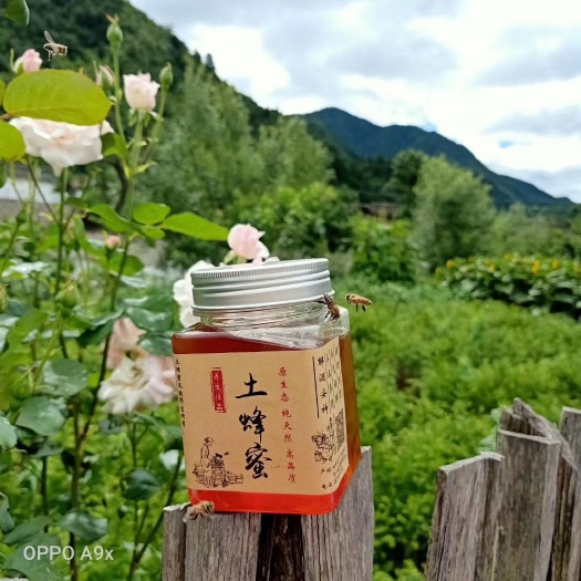 天水 天然土蜂蜜