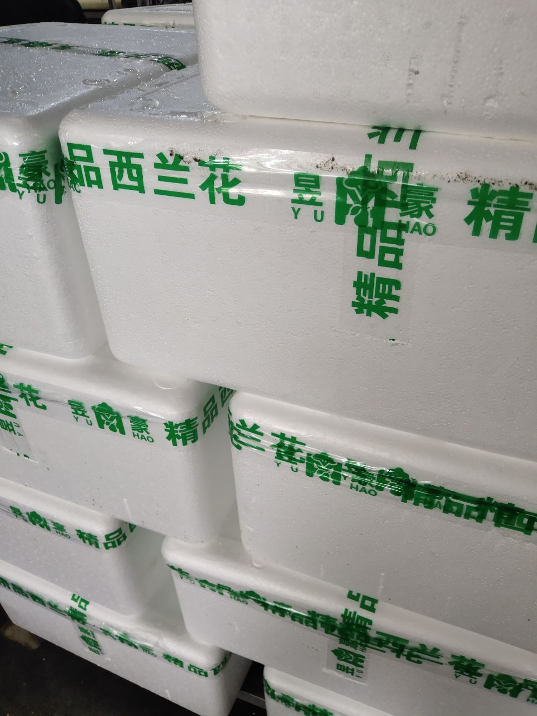优秀西兰花  莱西市莱西市雅梅果蔬购销
