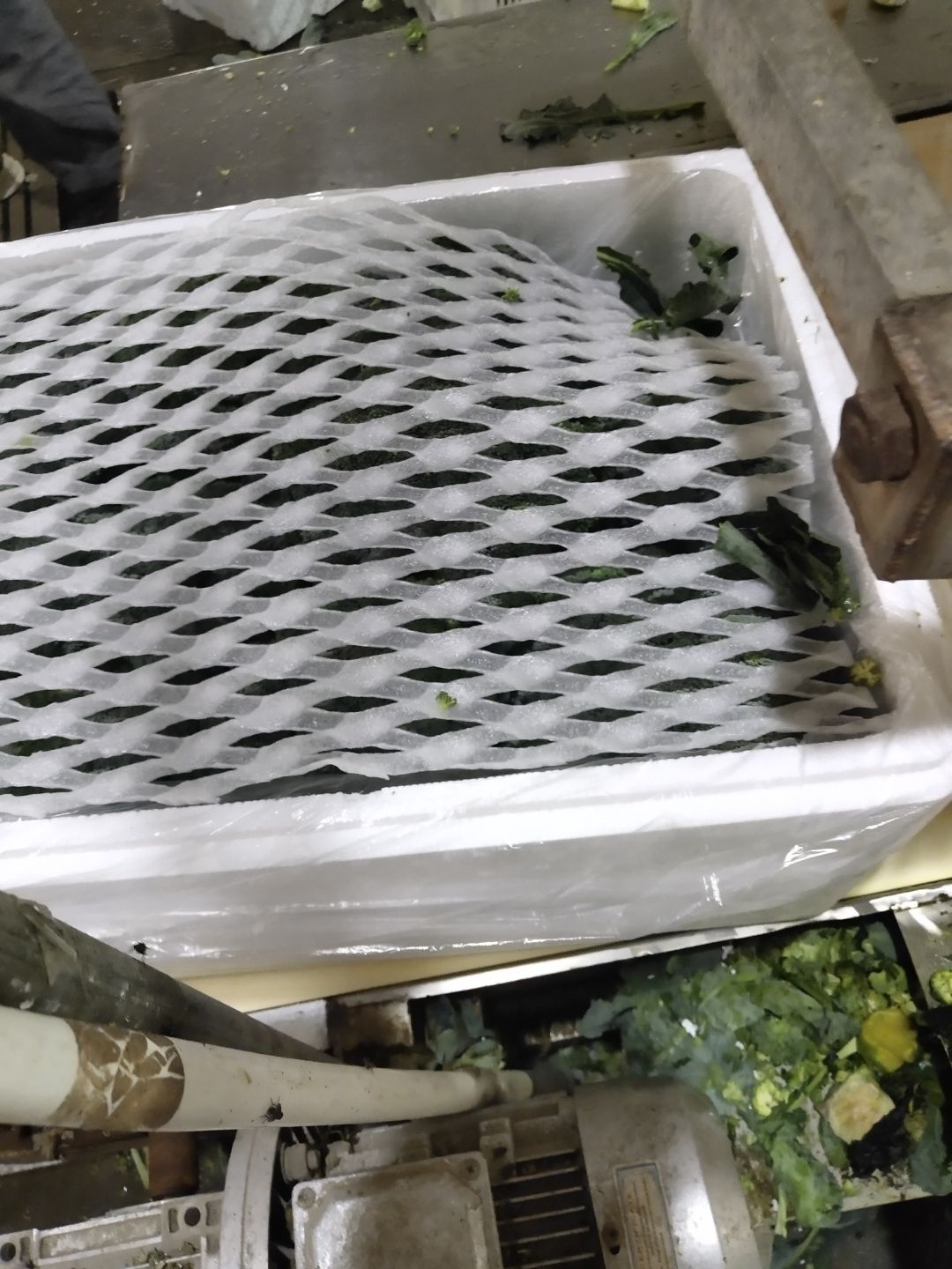 优秀西兰花  莱西市莱西市雅梅果蔬购销