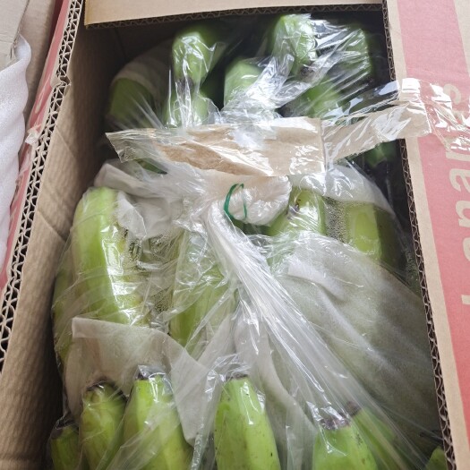 邯郸 广东香蕉三把四把，中等货16元
