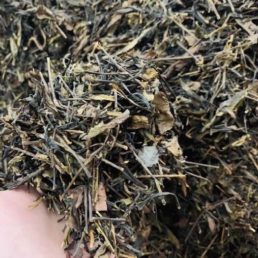 平远县单丛茶  凤凰单丛鸭屎香茶头