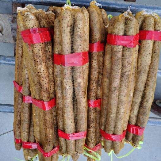蠡县麻山药淮山网袋5斤装面山药产地直供一手货源现货供应
