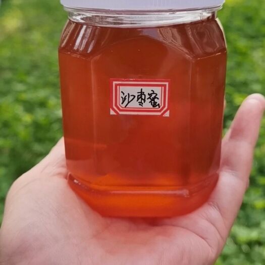 大荔县 沙枣蜜 蜂蜜 陕北沙枣花蜜 新货