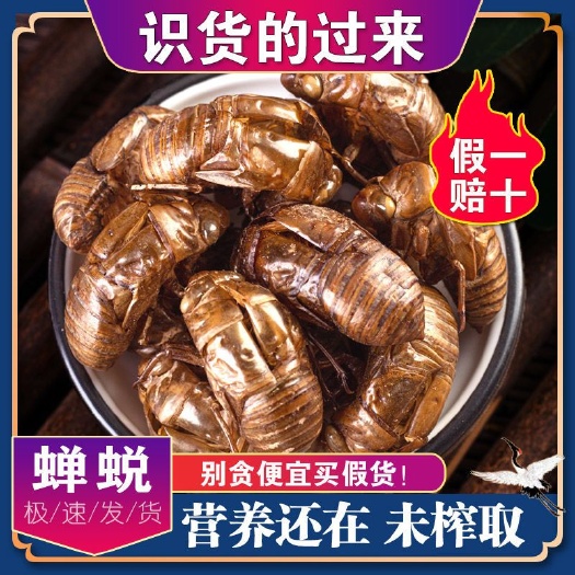 临漳县中药材天然蝉蜕500g克包邮蝉衣知了壳蝉脱金蝉衣自然脱落