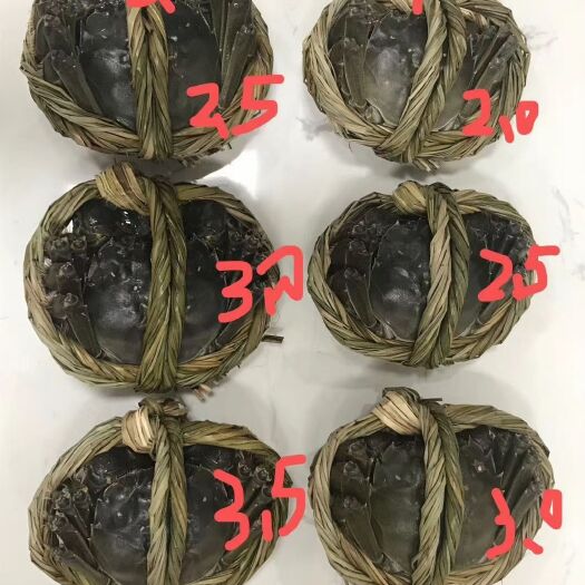 兴化市兴化大闸蟹《单只批发》兴化红膏大闸蟹