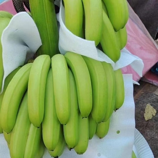 邯郸云南红河香蕉 云南大基地香蕉