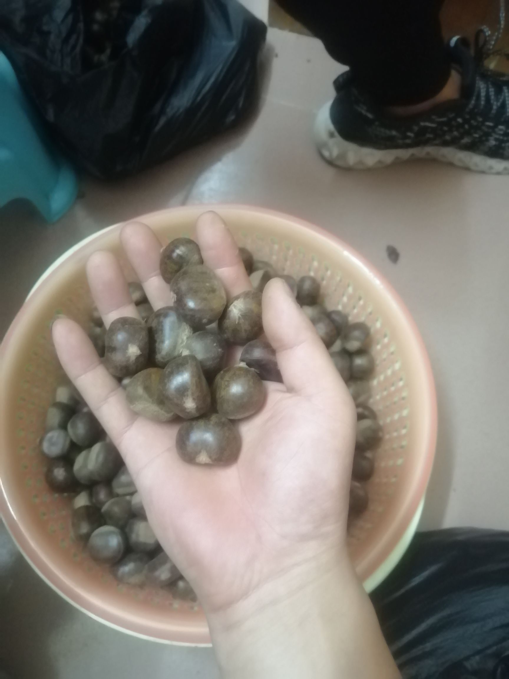 迁西明栗 正宗迁西板栗，60果，专业做60果，一袋供货