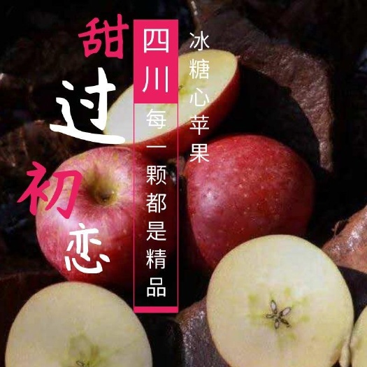 盐源县盐源苹果 冰糖心 产地直销包邮 支持一件代发
产地代办