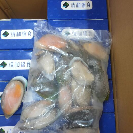 广州新西兰青口贝  新西兰半壳青口 半壳青口 青口
