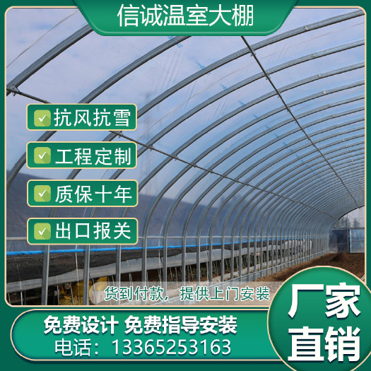 沭阳县镀锌带种植大棚  温室大棚镀锌管骨架种植养殖大棚