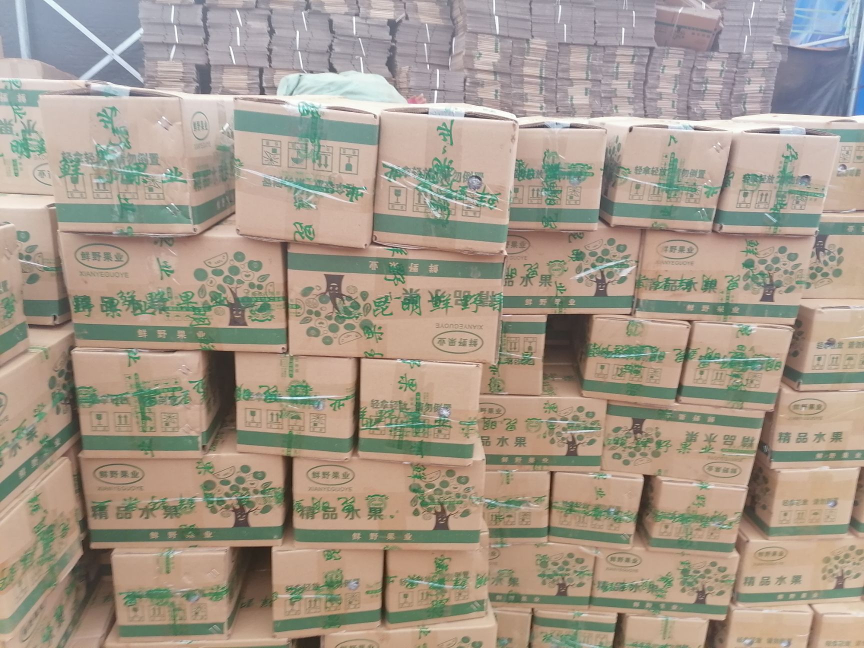 雪莲果 3两以上 