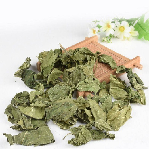 桑叶 无硫熏天然晒干 药用 量大从优