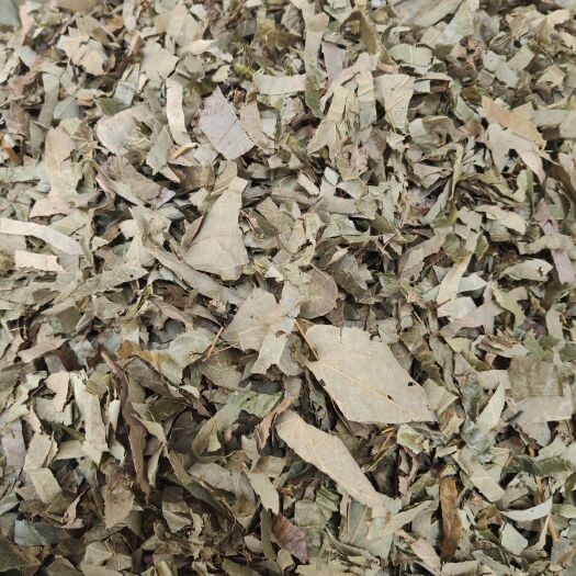 玉林小叶淫羊霍 淫羊藿叶羊角叶中药材男性泡酒料泡水茶配菟丝子锁阳