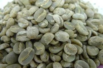 思茅紫月谷咖啡  •生豆
