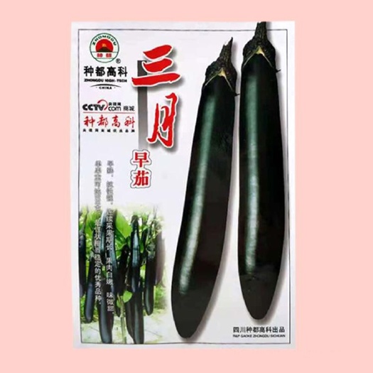 长茄子种子 抗病紫黑茄子种子薄皮长棒形 基地庭院春秋播