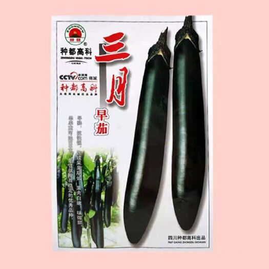 湘乡市长茄子种子 抗病紫黑茄子种子薄皮长棒形 基地庭院春秋播