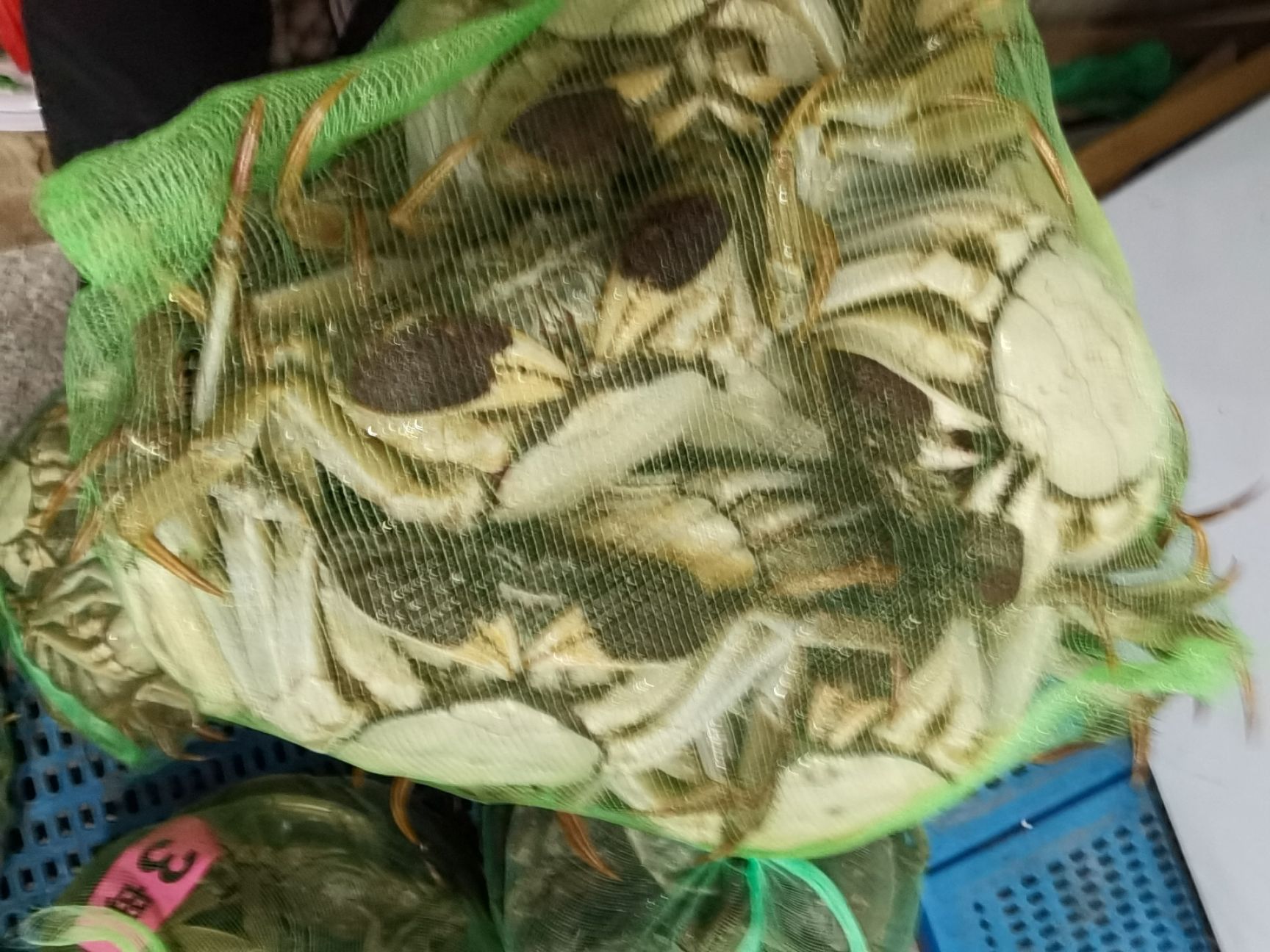 泰兴大闸蟹 兴化红膏蟹，蟹塘直发