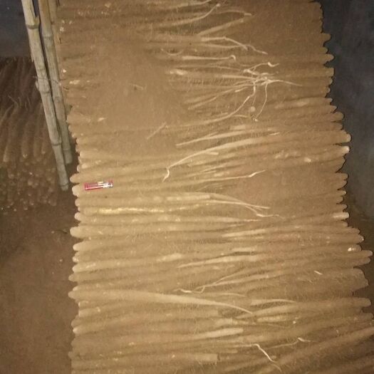 深泽县小白嘴山药 深泽绿色无公害小白嘴上市了，大货，二户，佛手规格齐全……