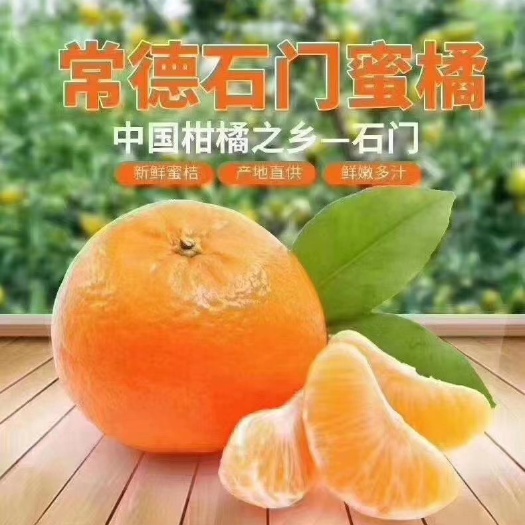 石门县青桔  石门柑橘之乡-汁多皮薄