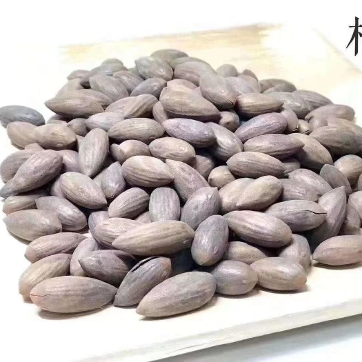 绍兴 香榧     自产自销