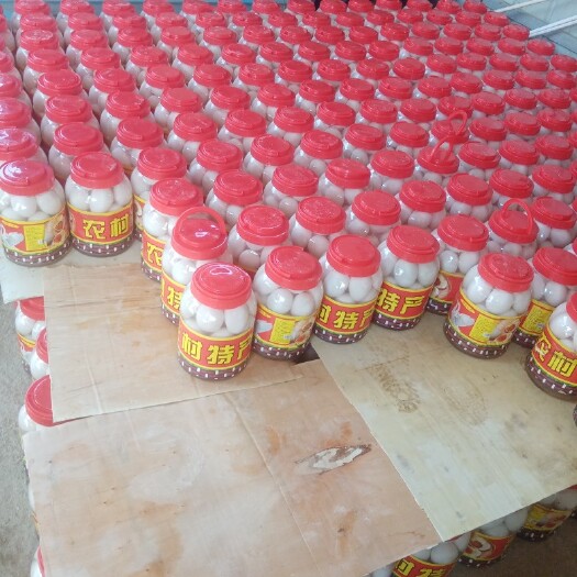 广饶县土鹅蛋  桶装鹅蛋，礼品盒，批发