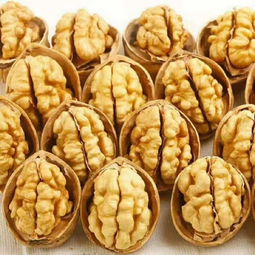 莎车县薄皮核桃 30mm以上 箱装 12-18个月 