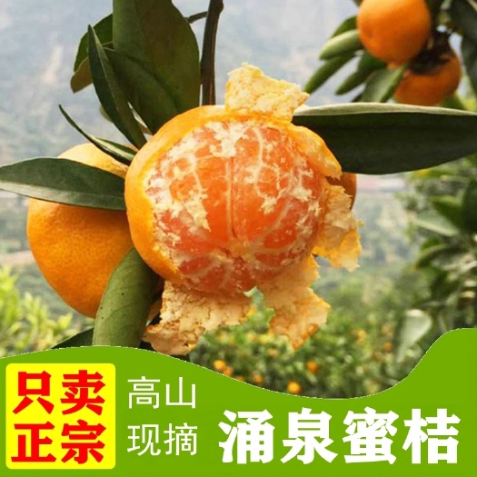  临海涌泉蜜桔浙江特产橘子产地直发