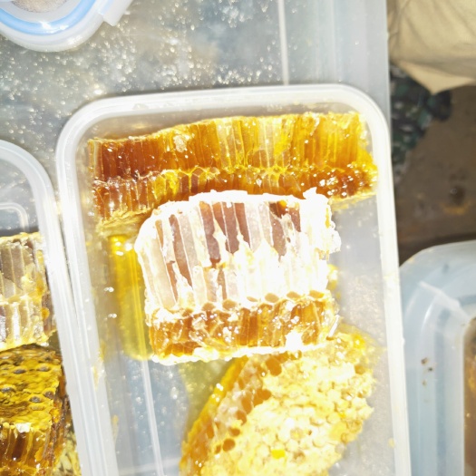 旬邑县土蜂蜜 天然蜂巢蜜