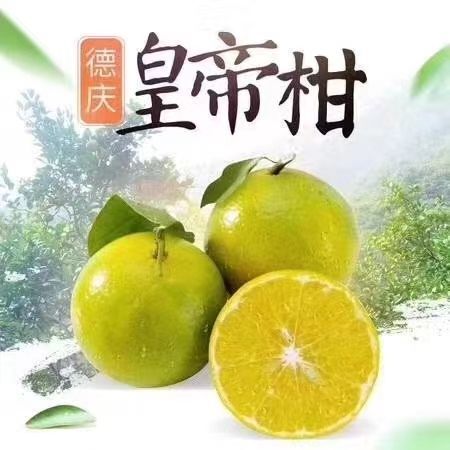 德庆县德庆贡柑  丰收季节，果子熟囖，比爱情还甜的贡柑，欢迎土豪来秒。