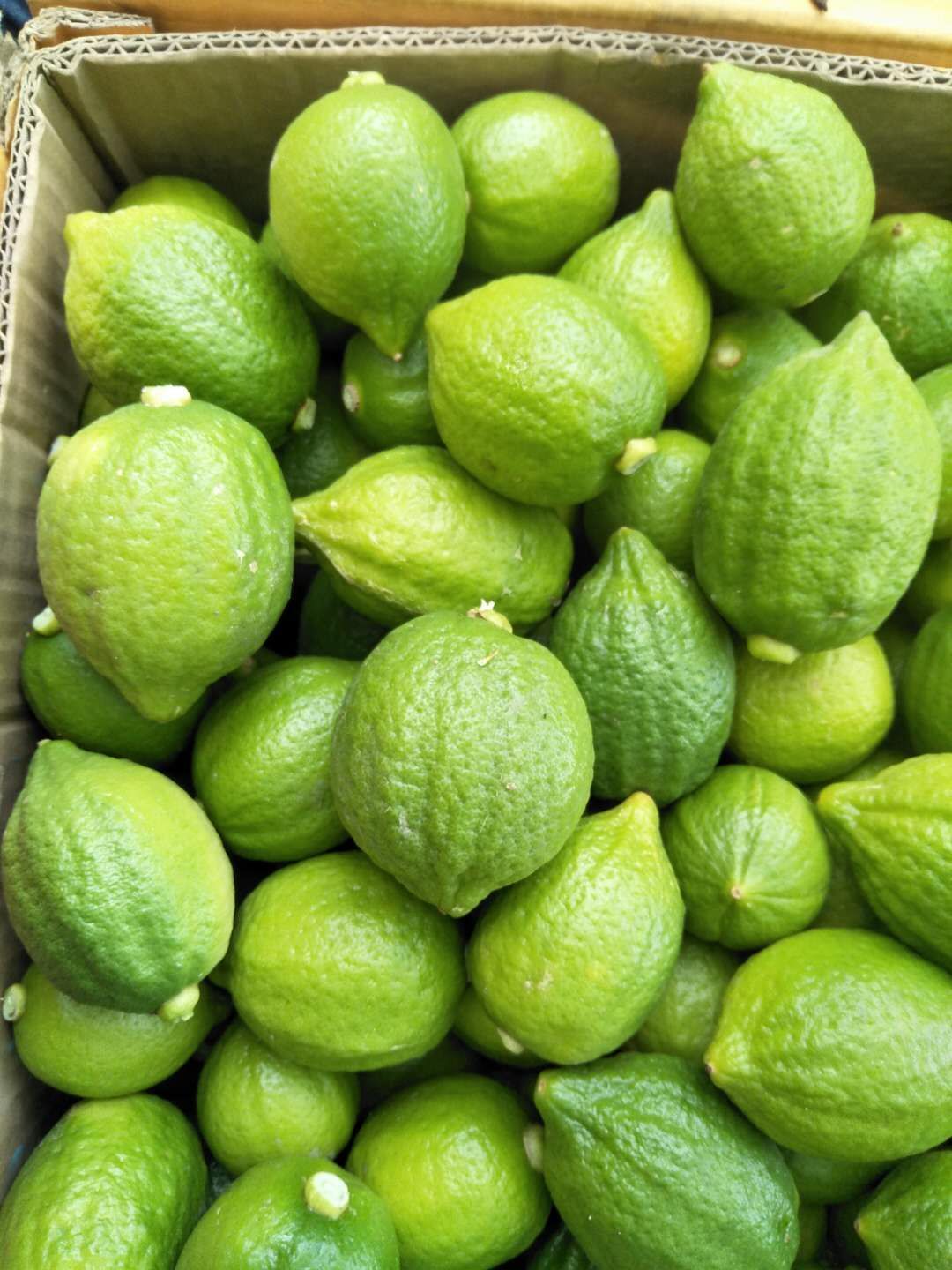 广东无籽香水柠檬香水味浓郁