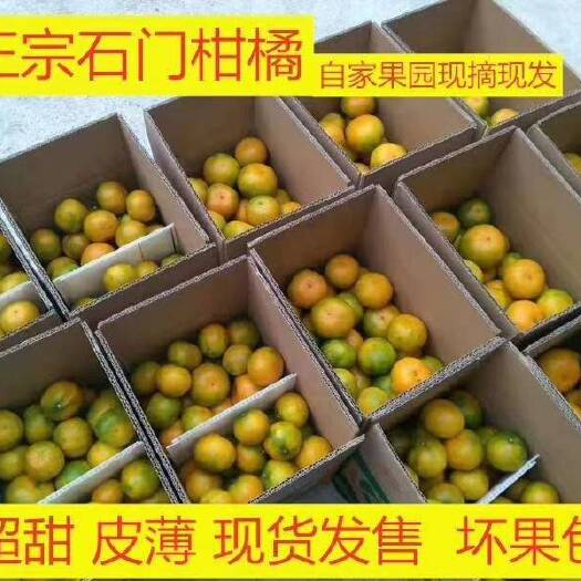 石门县石门蜜橘  今年的柑橘又上架了，30一件包邮