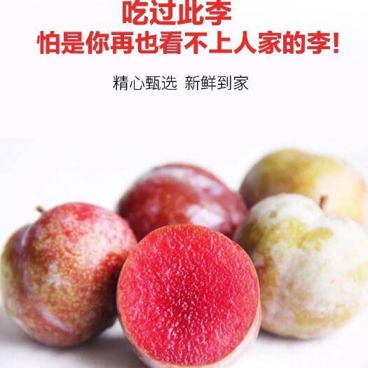 余庆县桃形李苗