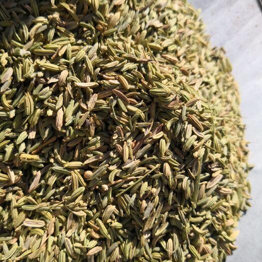 小茴香  药食两用   选货绿色