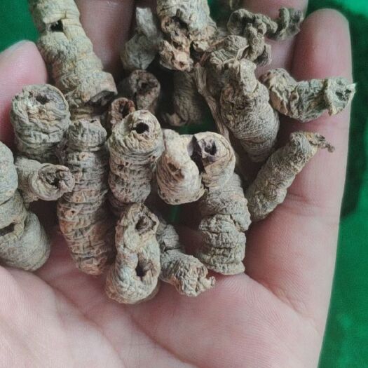 中山市 巴戟干(经过九蒸十晒的)