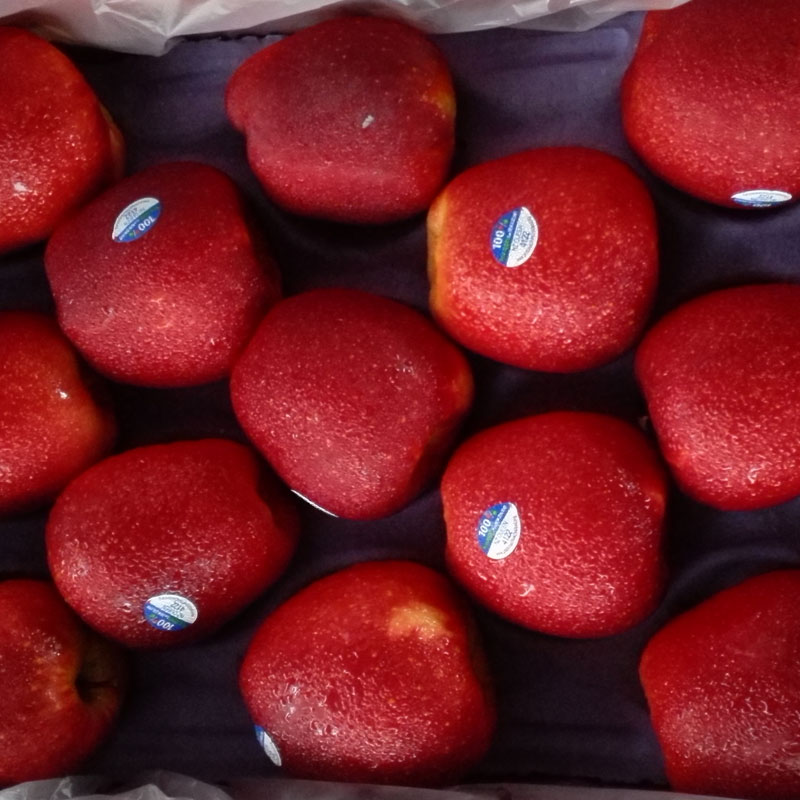 新西兰皇后红玫瑰苹果  新西兰红玫瑰苹果加力果皇后果34斤大箱批发货源