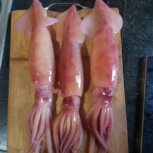重庆市朝鲜鱿鱼 火锅食材水发深海鱿鱼，火锅中餐串串冒菜优选产品。