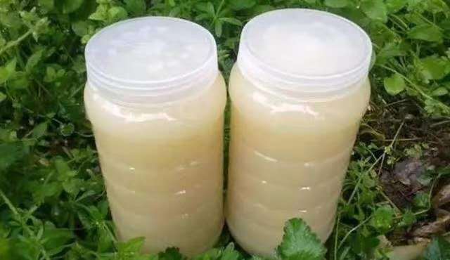南靖县意蜂蜂蜜 冬蜜
