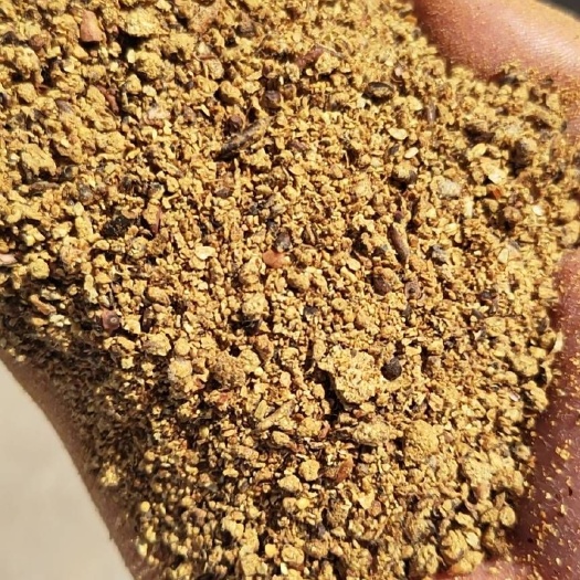 阿克苏市50蛋白棉粕