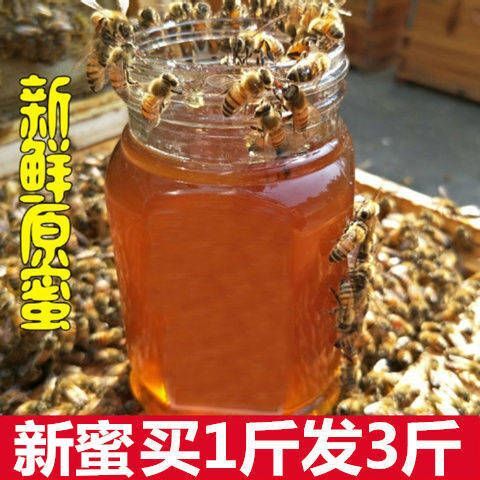 井陉县 蜂蜜天然正品纯深山百花蜜