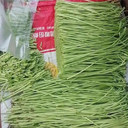 白藜蒿 精品芦蒿，自产自销。