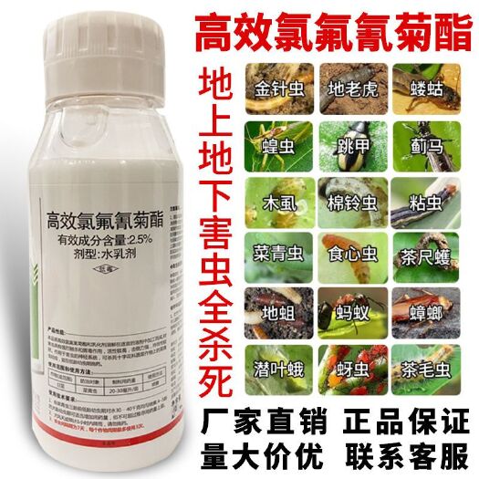 商丘 金石高效氯氟氰菊酯