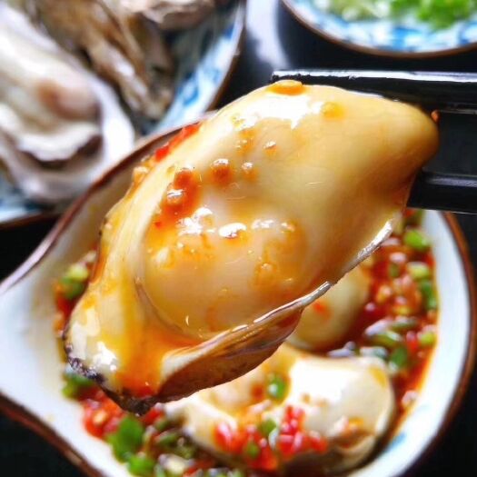 成都山东乳山牡蛎  乳山蚝 清蒸 生吃 烤 佳品