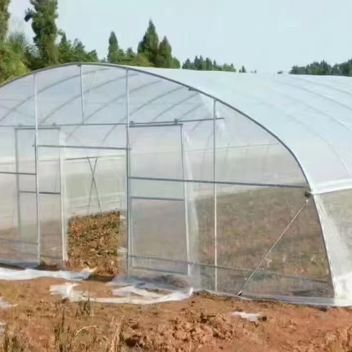 钢管大棚 种植棚，养殖棚，全国搭建。。