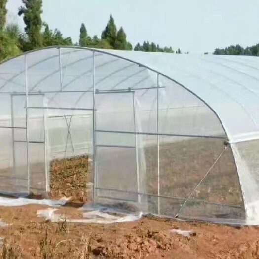 天津钢管大棚 种植棚，养殖棚，全国搭建。。