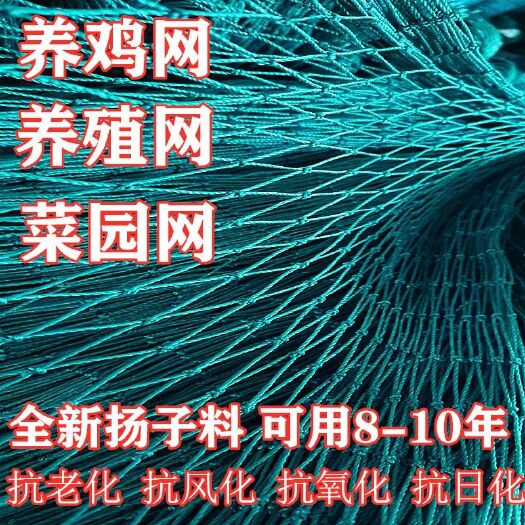 郯城县荷兰网  养殖网养鸡网尼龙网拦鸡网围鸡网家禽塑料网菜园防护网