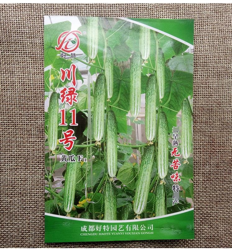 湘乡市黄瓜种子 川绿十一号 无苦味强雌性基地庭院春夏秋播水果黄瓜种
