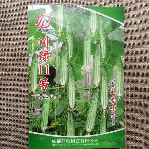 湘乡市黄瓜种子 川绿十一号 无苦味强雌性基地庭院春夏秋播水果黄瓜种